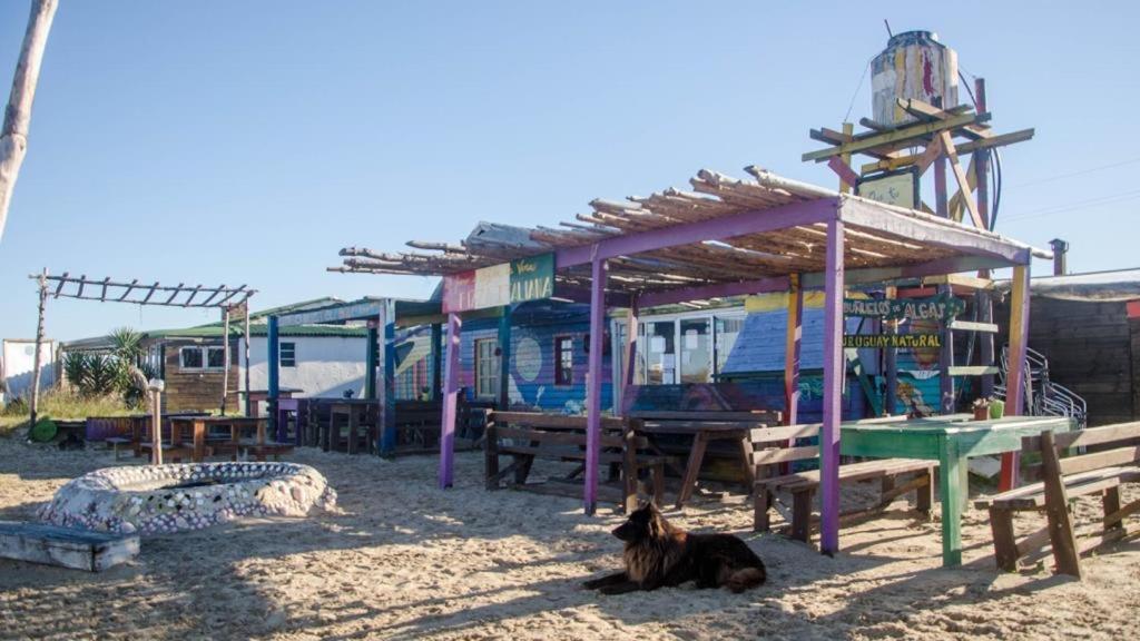 Lobo Hostel Bar Cabo Polonio Exteriér fotografie